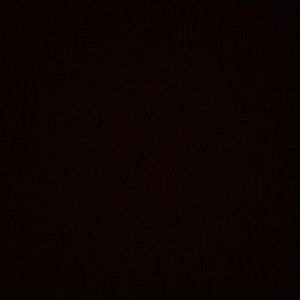 Meet your Posher, Selena